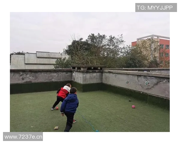 杨伟独家分享飞盘技巧与心得体会助你提升投掷水平与游戏乐趣